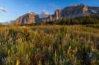Prairie wildflowers with Apikuni Mountain in the Many Glacier Valley in Glacier NP, Montana, USA. Art Print